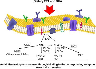 The Potential Beneficial Effect of EPA and DHA Supplementation Managing Cytokine Storm in Coronavirus Disease